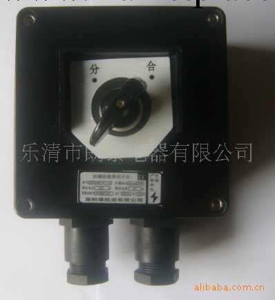專業銷售防爆防腐主令控制器ZXF8030/51-10,ZXF8030防爆燈具工廠,批發,進口,代購