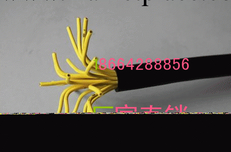 銷售RVVP KVVP型屏蔽電纜 通訊電纜 鎧裝電纜 屏蔽信號電纜線纜批發・進口・工廠・代買・代購