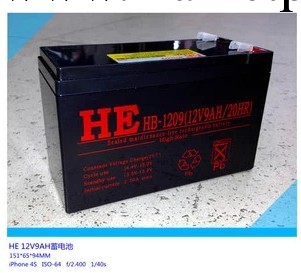 12V9AH鉛酸蓄電池/電瓶 報警主機備用UPS電源 門禁後備電池12V9AH批發・進口・工廠・代買・代購