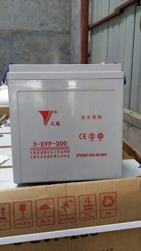 天能免維護6v200時風電動轎車專用工廠,批發,進口,代購