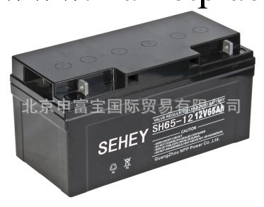 德國SEHEY 西力蓄電池 SH65-12 12v 65AH 蓄電池 質保三年工廠,批發,進口,代購