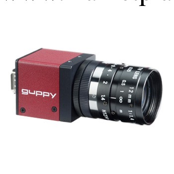AVT  GUPPY系列F-033B/C數字攝像機工廠,批發,進口,代購