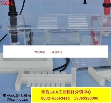 高中生物27022水平電泳槽27023垂直電泳槽工廠,批發,進口,代購