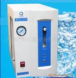 供應HGH-300E（500E）氫氣發生器工廠,批發,進口,代購