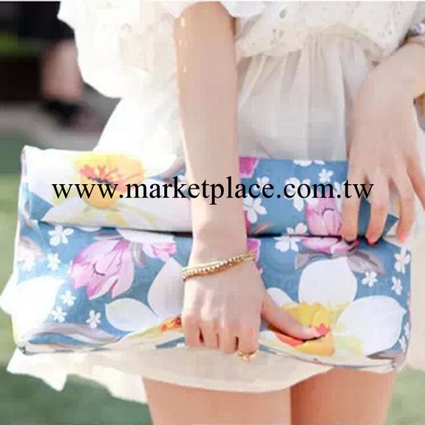 2014韓版 彩繪花朵手抓包 韓國新款女包鏈條單肩斜挎包手拿包女包工廠,批發,進口,代購