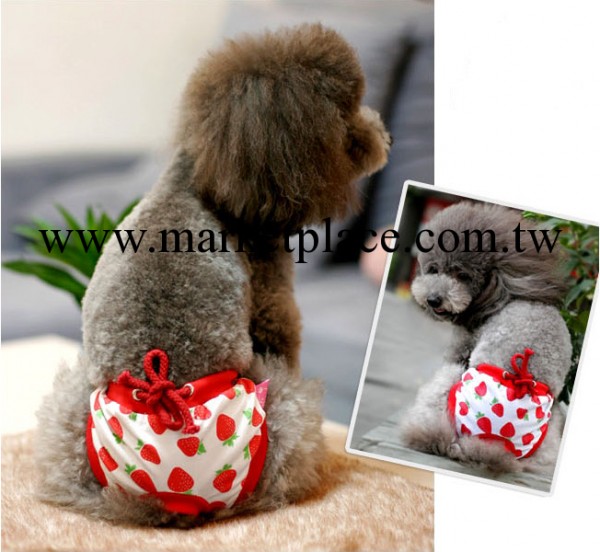 寵物服飾可愛甜美公主風 草莓寵物生理褲寵物-白底紅草莓批發工廠,批發,進口,代購