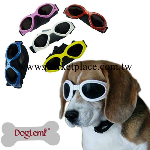 寵物眼鏡 狗狗眼鏡 太陽鏡墨鏡 防曬防風鏡工廠,批發,進口,代購
