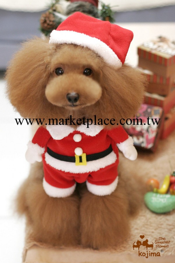 kojima 寵物衣服小狗衣服 超可愛聖誕裝 寵物服裝 聖誕帽子工廠,批發,進口,代購