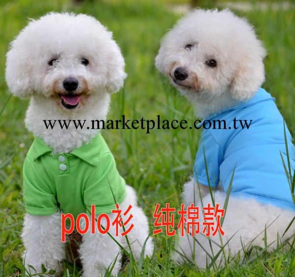 狗狗衣服春夏裝 寵物POLO襯衫 寵物襯衣 泰迪寵物犬衣服 現貨供應工廠,批發,進口,代購
