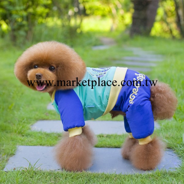 2015新款秋冬寵物服飾幼犬小型犬服裝 四腳比熊泰迪衣服 金蛇套裝工廠,批發,進口,代購