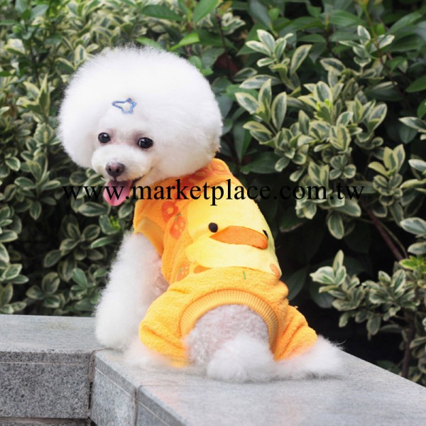 雙麵珊瑚絨卡圖圖案棉衣 小型犬寵物衣服批發・進口・工廠・代買・代購