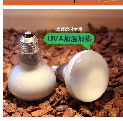 批發小雞小鵝孵化加熱燈泡 爬蟲取暖燈 UVAUVB補鈣燈泡 一個起批工廠,批發,進口,代購
