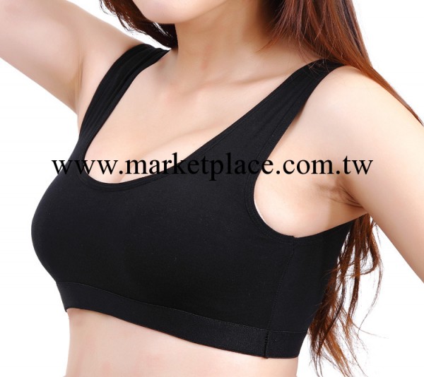 1611 無鋼圈運動背心 正品女款帶胸墊聚攏半身背心工廠,批發,進口,代購