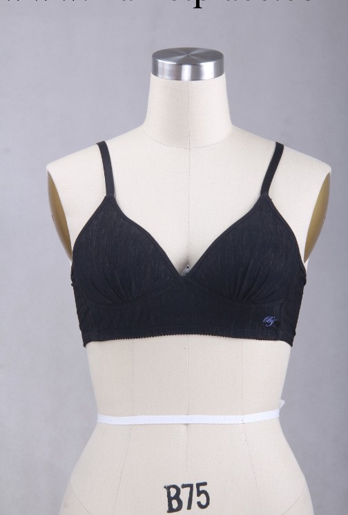 碧姬 2014新款胸罩日系薄款運動型 無鋼圈女士內衣胸罩無痕工廠,批發,進口,代購