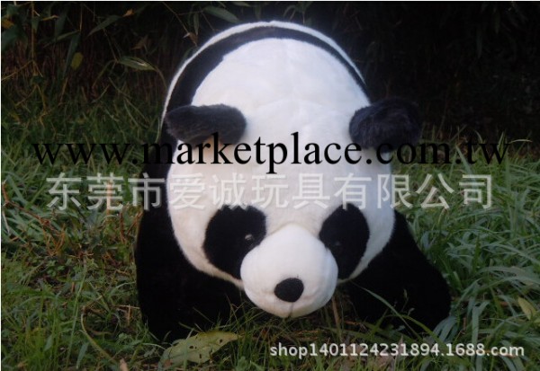專業定做生產熊貓公仔娃娃 毛絨玩具工廠,批發,進口,代購