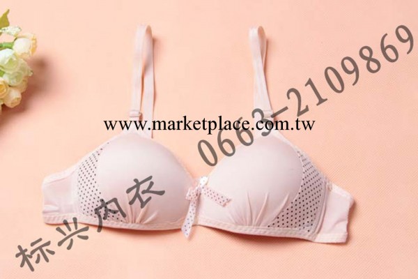 廠傢批發 新款少女內衣 可愛學生胸罩品牌胸罩 特價爆款一件代發工廠,批發,進口,代購