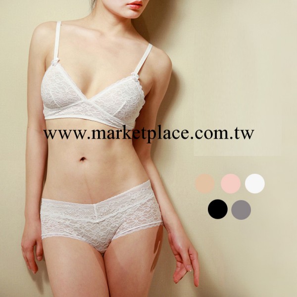 供應外單女士內衣 美國潮牌A*RIE 純色 舒適自然無鋼托超薄蕾工廠,批發,進口,代購