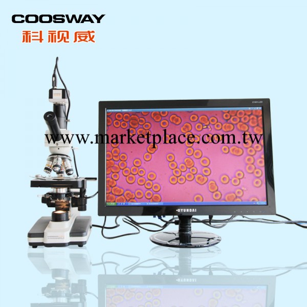 廠傢直供 40倍-1600倍放大 美容保健醫院專用  一滴血檢測機批發・進口・工廠・代買・代購
