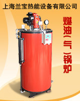 鍋爐【上海製造】蒸汽加熱設備、電鍋爐工廠,批發,進口,代購
