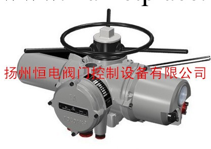 進口ROTORK羅托克多轉式調節型IQM95執行器價格優惠IQM95工廠,批發,進口,代購