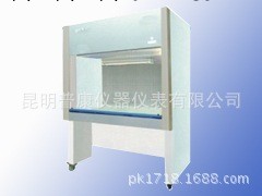 蘇州凈化雙人單麵凈化工作臺HS-1300-U工廠,批發,進口,代購