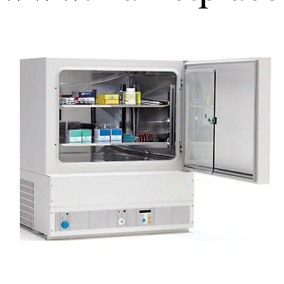 Thermo Scientific Heraeus BK6160低溫培養箱|低溫培養箱使用工廠,批發,進口,代購