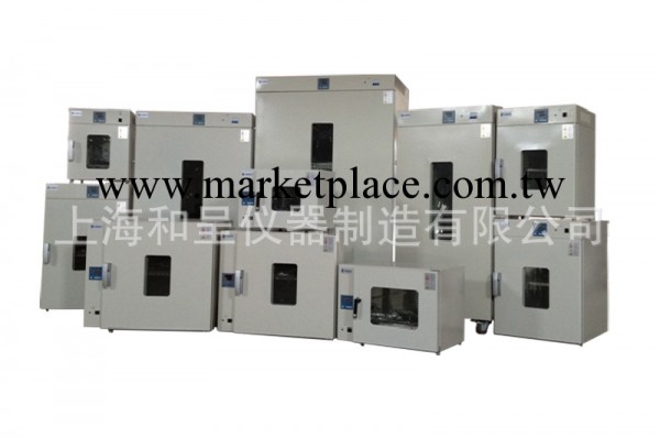 恒溫乾燥箱 鼓風乾燥箱 電熱乾燥箱 DHG系列乾燥箱 烘箱批發・進口・工廠・代買・代購