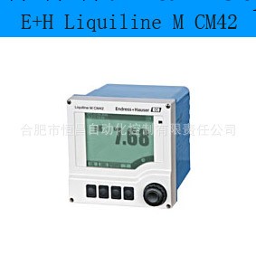 E+H/恩德斯豪斯  多參數變送器 CM42批發・進口・工廠・代買・代購