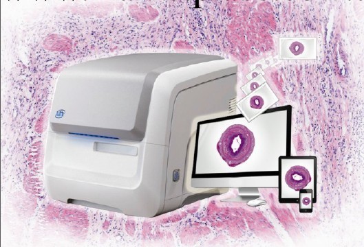 數字病理全麵解決方案批發・進口・工廠・代買・代購
