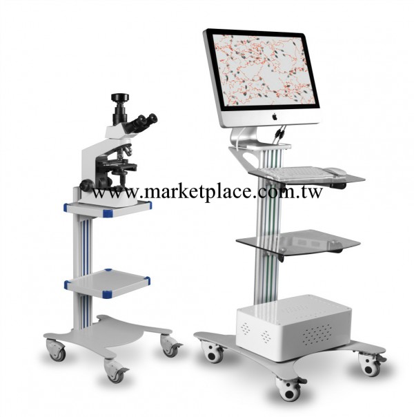 彩色網絡版精子分析機SW-3703工廠,批發,進口,代購