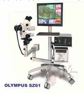 VIZ-YD光學電子陰道鏡(OLYMPUS SZ61)批發・進口・工廠・代買・代購