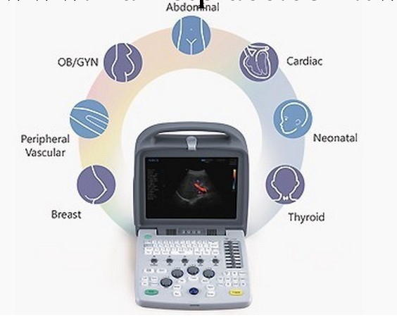 Apogee 1100 Downsizing color Doppler solution工廠,批發,進口,代購