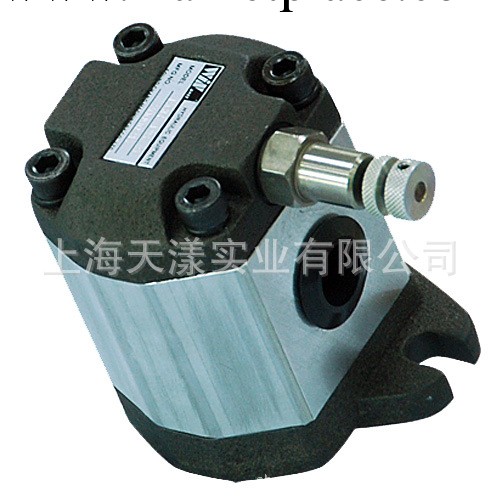 無錫峰昌EG-PCD-F32R齒輪泵WINMOST一級代理工廠,批發,進口,代購
