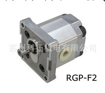 臺灣銳力REXPOWER齒輪泵RGP-F204R-12  RGP-F208R-12工廠,批發,進口,代購
