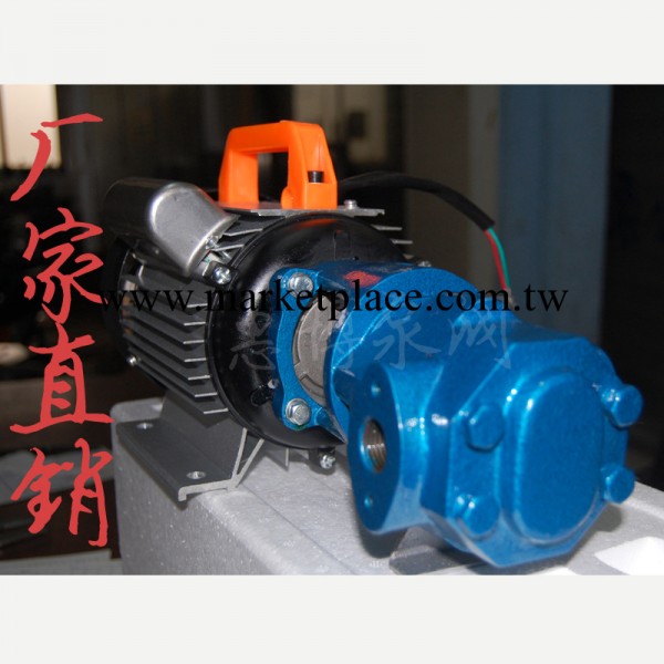 惠博廠傢直銷WCB-75P 不銹鋼手提式齒輪泵 微型齒輪泵工廠,批發,進口,代購