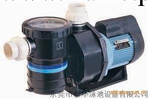 過濾水泵 按摩水泵 吸污水泵 循環水泵工廠,批發,進口,代購