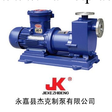 供應自吸泵 ZCQ20-15-110磁力自吸泵工廠,批發,進口,代購