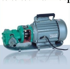 WCB-30熱賣正品微型齒輪油泵柴油泵抽油泵輸油泵工廠,批發,進口,代購