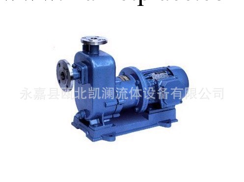 供應ZCQ型自吸式不銹鋼磁力泵*ZCQ50-40-160*溫州自吸化工泵工廠,批發,進口,代購