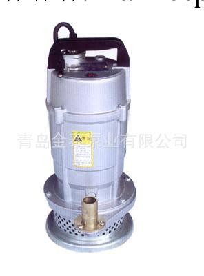 供應潛水泵  優質潛水泵   專業潛水泵   QDX25-17-2.2潛水泵工廠,批發,進口,代購