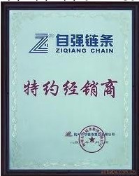 杭州東華自強鏈條 16A*1-60L 1寸*1.5米 國內優質產品批發・進口・工廠・代買・代購