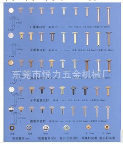 鐵鉚釘，雙麵鉚釘，中空釘，帽徑3-15MM工廠,批發,進口,代購