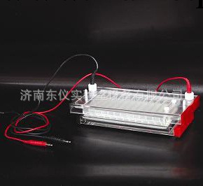 電泳槽 DYCP-44N型 快速凝膠電泳機(槽)工廠,批發,進口,代購