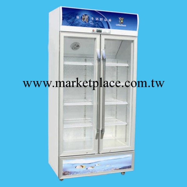濟南小鴨 冰櫃 冷櫃 展示櫃  廠傢直銷 最低價  SC-708工廠,批發,進口,代購