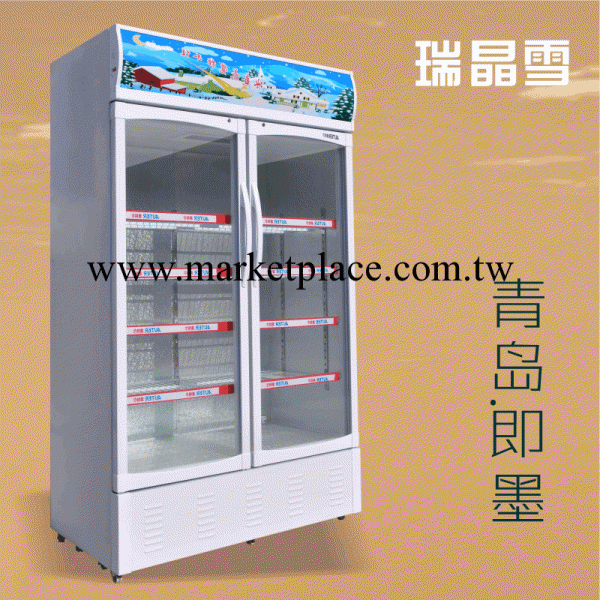 [超大容量]瑞晶雪雙門保鮮展示櫃 立式飲料櫃批發・進口・工廠・代買・代購