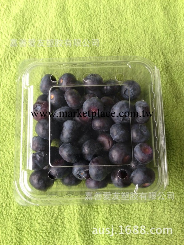 全網最低價 食品級藍莓盒 塑料包裝盒工廠,批發,進口,代購