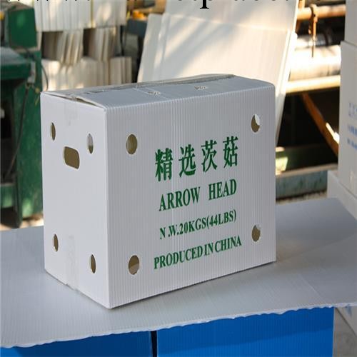 蔬菜包裝箱圖片|飛燕塑膠制品(圖)|蔬菜包裝批發・進口・工廠・代買・代購
