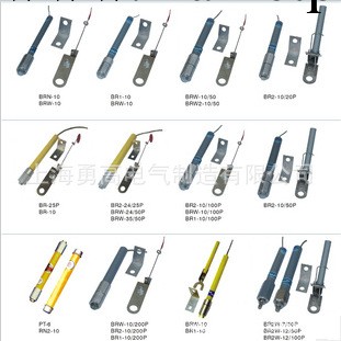 [廠傢直銷]國標產品 國標型號 國標尺寸 BR電力電容器熔斷器工廠,批發,進口,代購