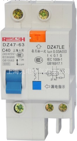 專業生產批發傢用斷路器 DZ47LE-100/1P小型漏電斷路器批發・進口・工廠・代買・代購