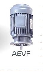 現貨供應TECO東元AEVFVS自冷變頻三相異步電動機工廠,批發,進口,代購